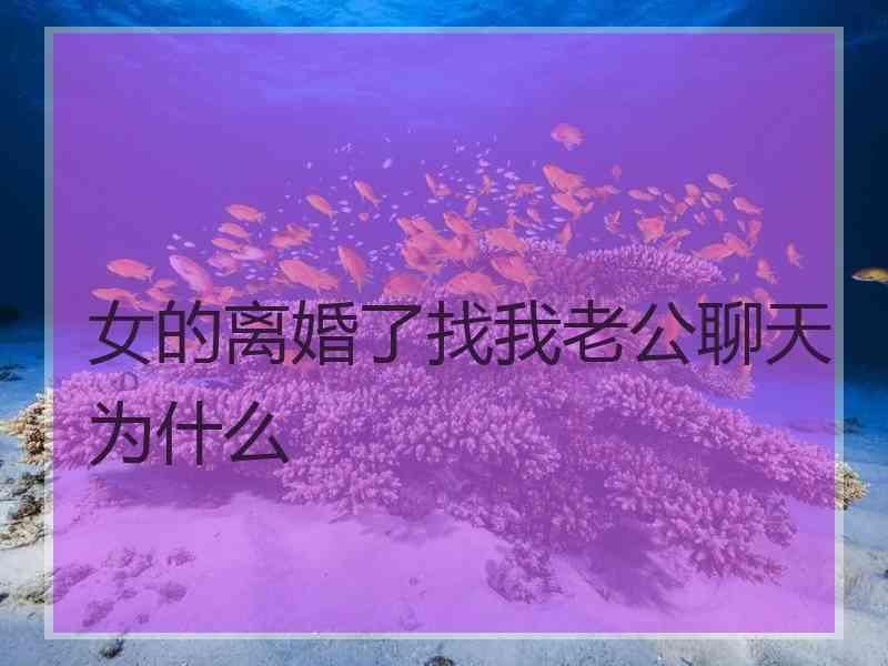 女的离婚了找我老公聊天为什么