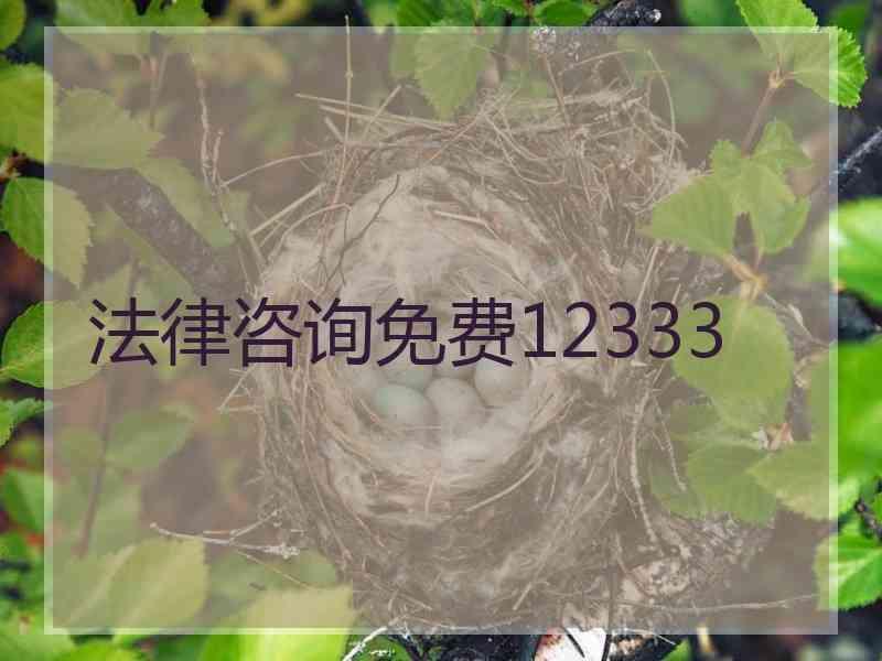 法律咨询免费12333