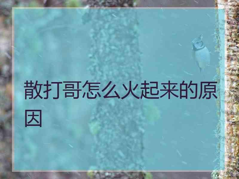 散打哥怎么火起来的原因