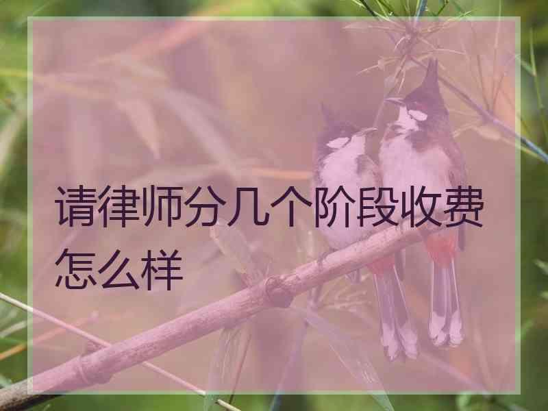 请律师分几个阶段收费怎么样