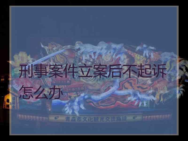 刑事案件立案后不起诉怎么办