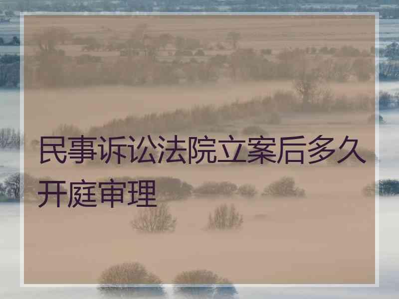 民事诉讼法院立案后多久开庭审理