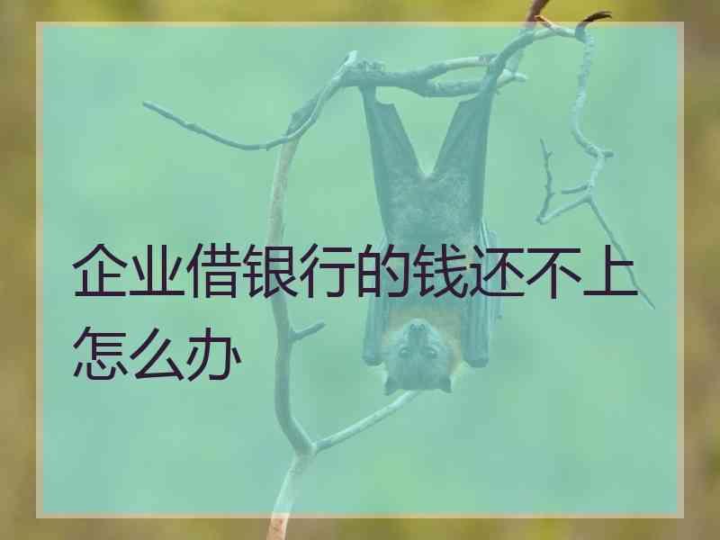 企业借银行的钱还不上怎么办