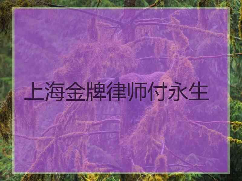 上海金牌律师付永生