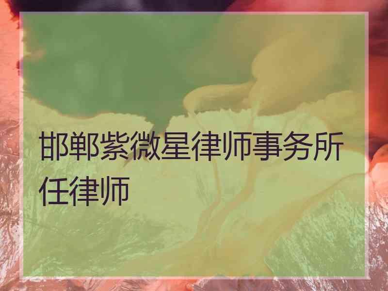 邯郸紫微星律师事务所任律师