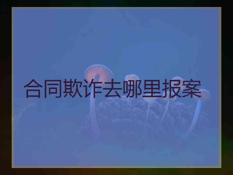 合同欺诈去哪里报案