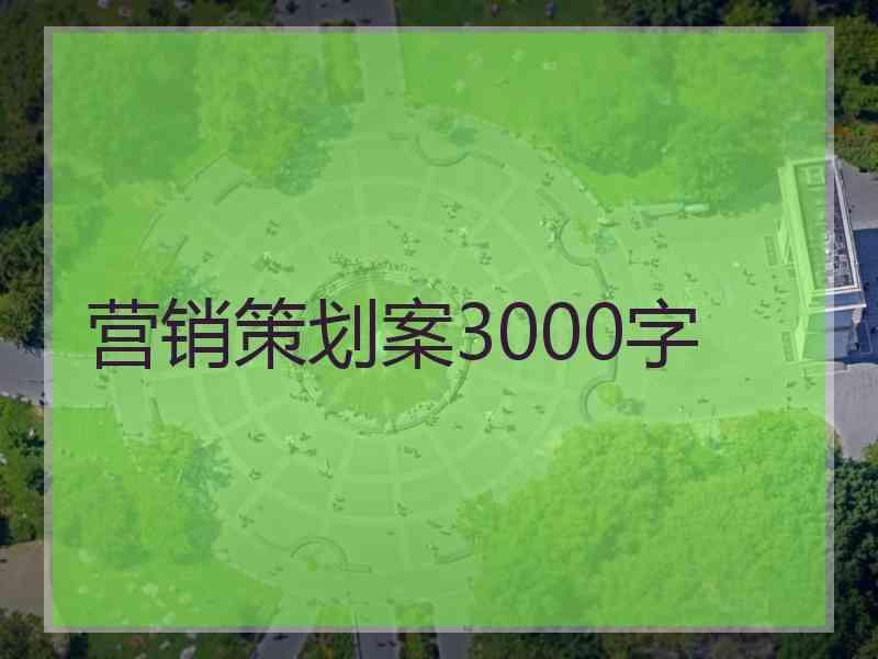 营销策划案3000字