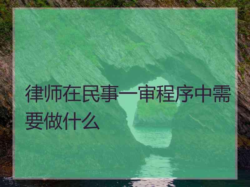 律师在民事一审程序中需要做什么