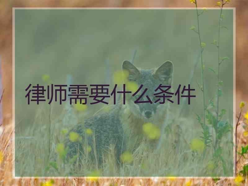 律师需要什么条件