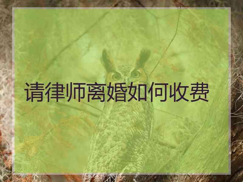 请律师离婚如何收费