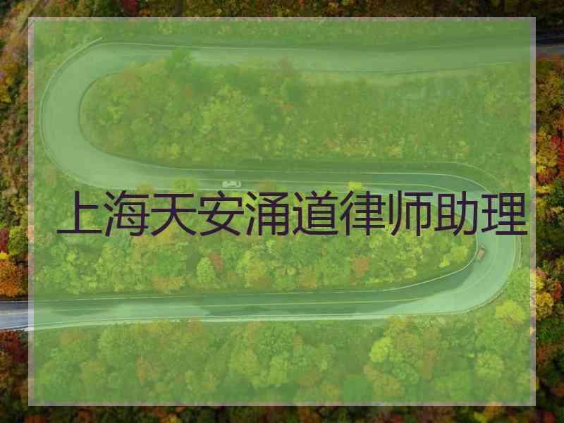 上海天安涌道律师助理