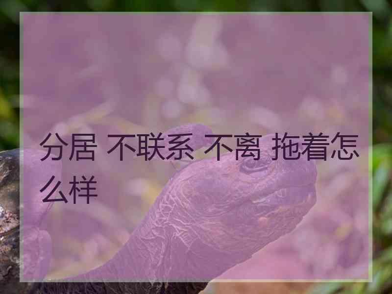 分居 不联系 不离 拖着怎么样