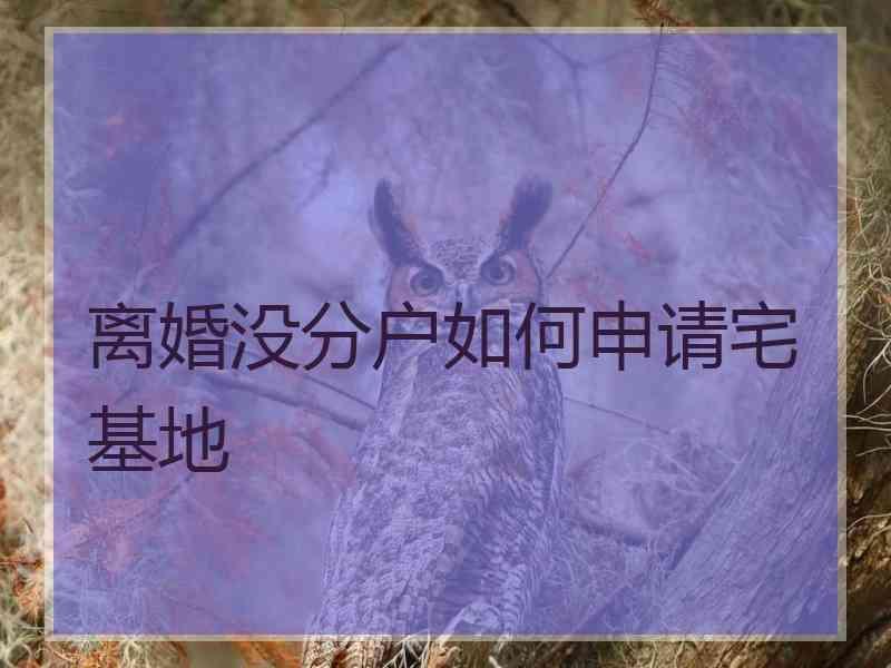 离婚没分户如何申请宅基地