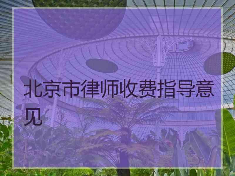 北京市律师收费指导意见