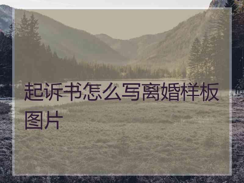 起诉书怎么写离婚样板图片