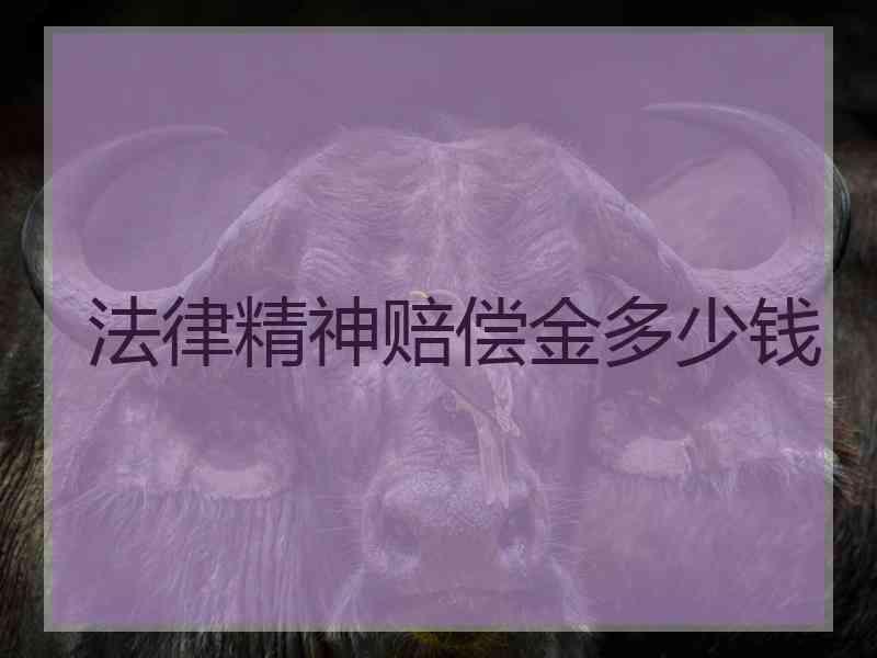 法律精神赔偿金多少钱