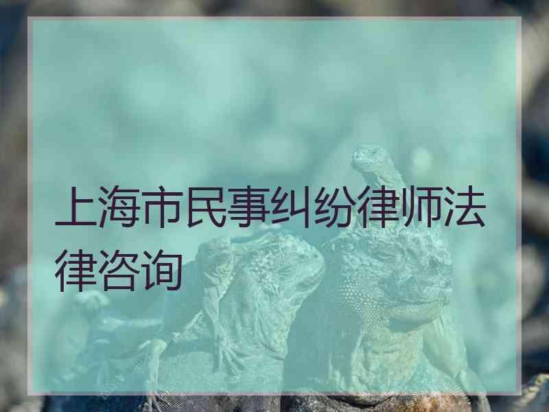 上海市民事纠纷律师法律咨询