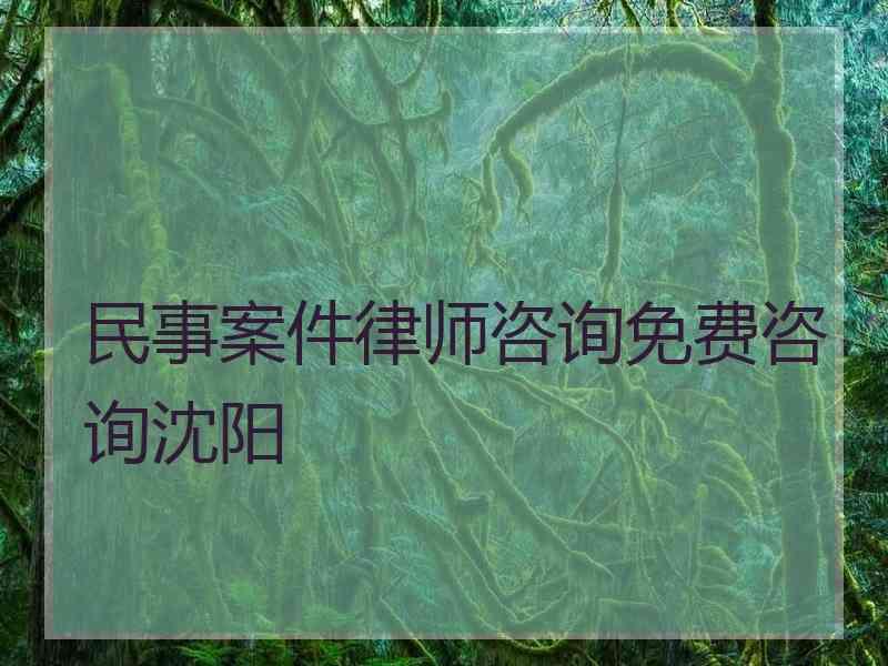 民事案件律师咨询免费咨询沈阳