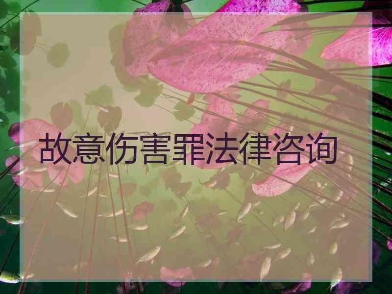 故意伤害罪法律咨询