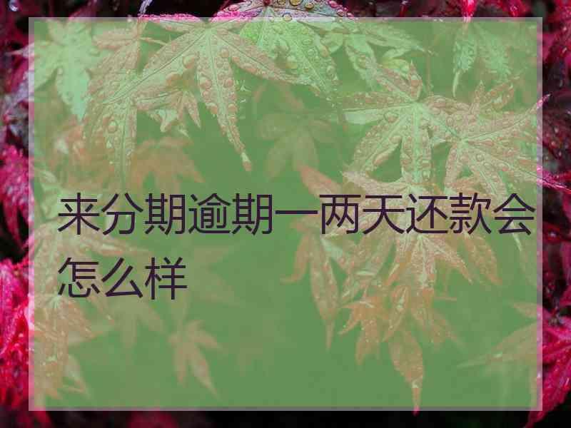 来分期逾期一两天还款会怎么样