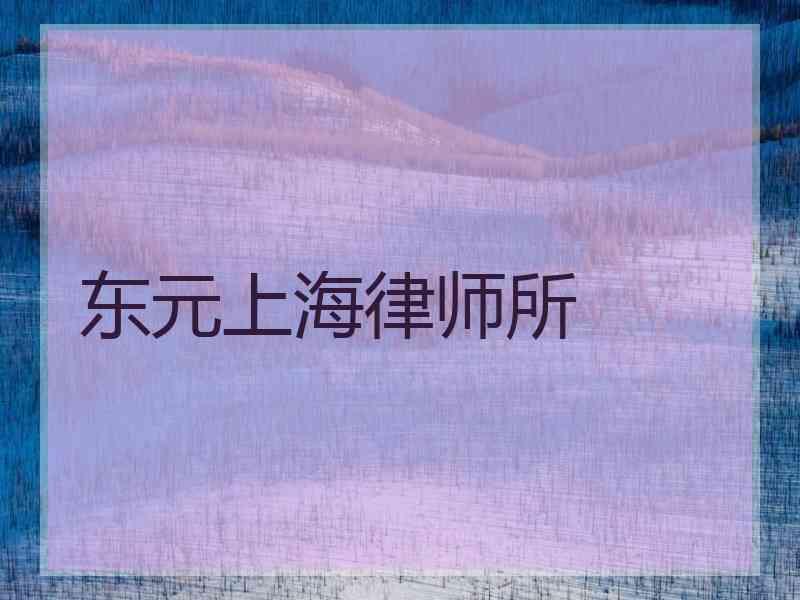 东元上海律师所