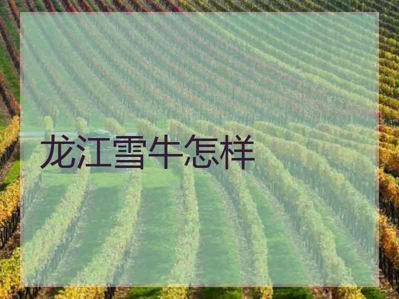 龙江雪牛怎样