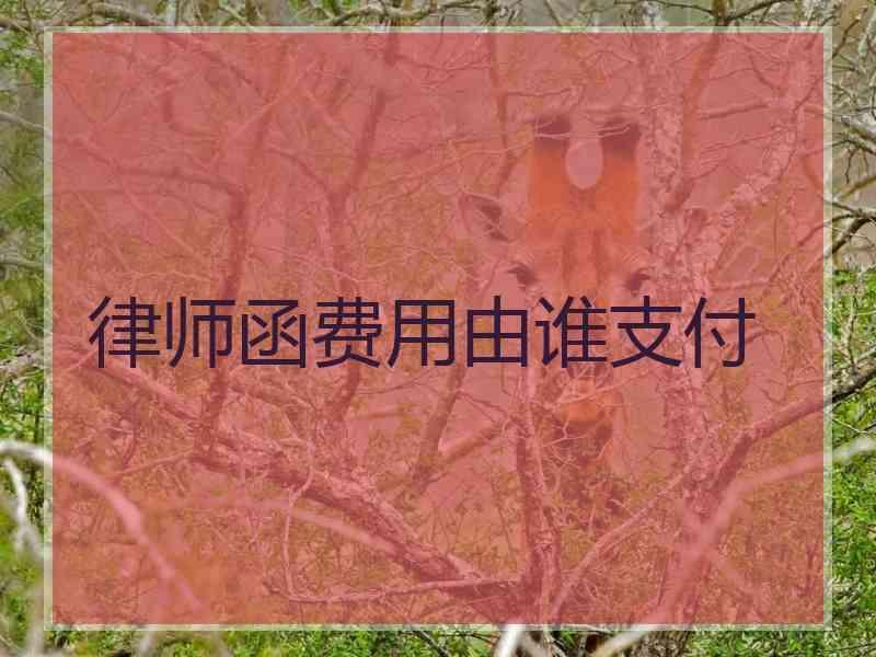 律师函费用由谁支付