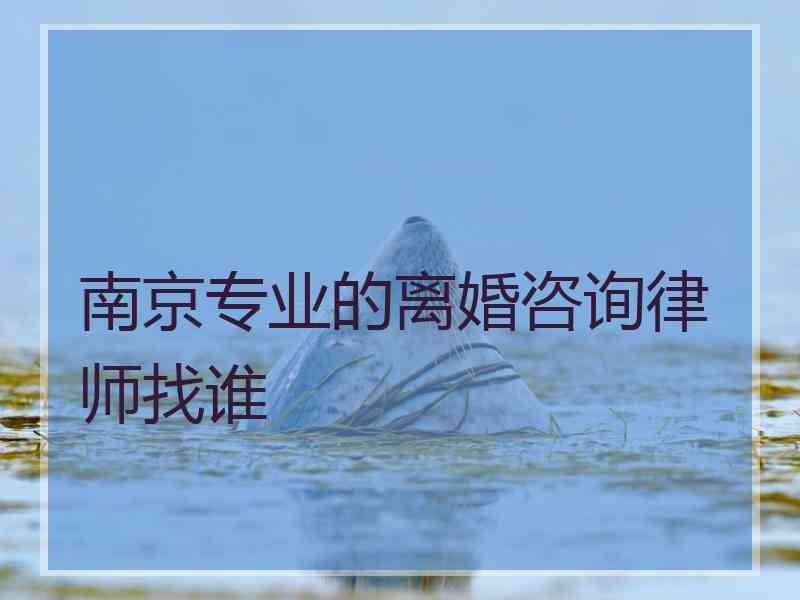 南京专业的离婚咨询律师找谁