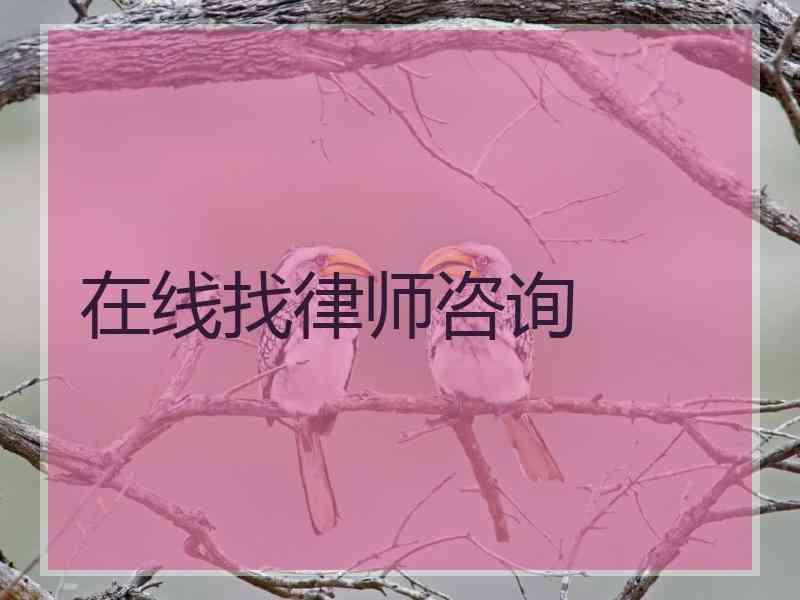 在线找律师咨询