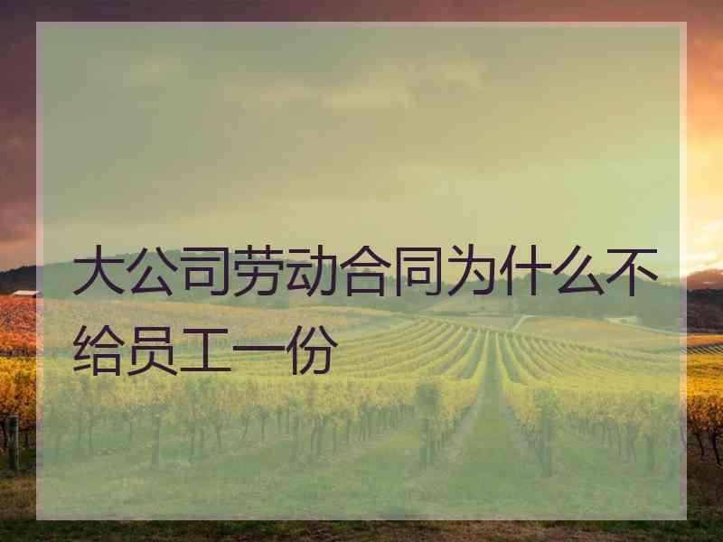 大公司劳动合同为什么不给员工一份