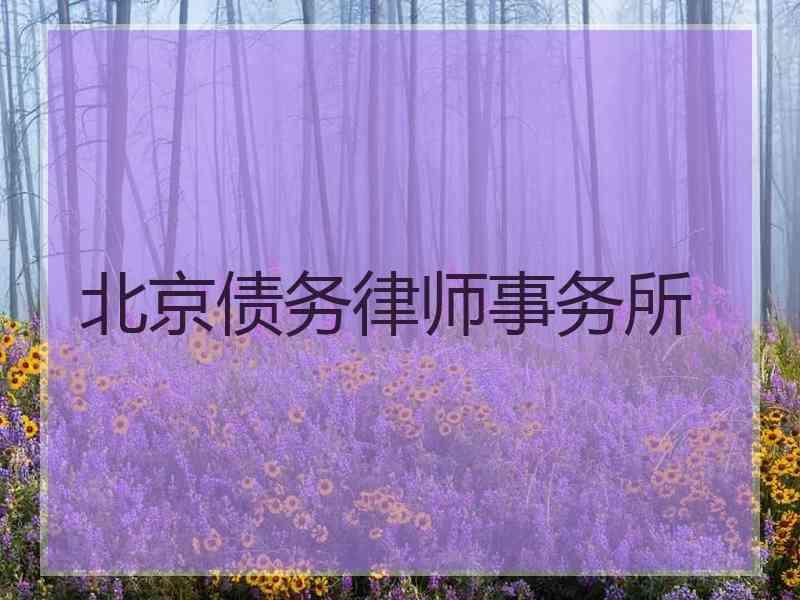 北京债务律师事务所