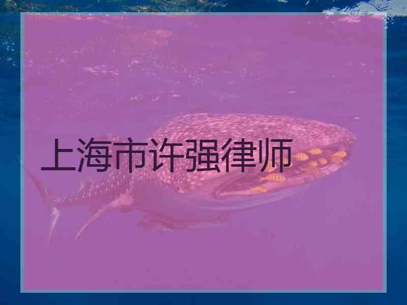 上海市许强律师