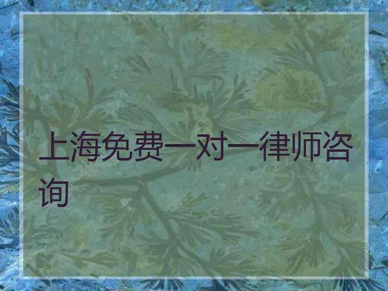 上海免费一对一律师咨询