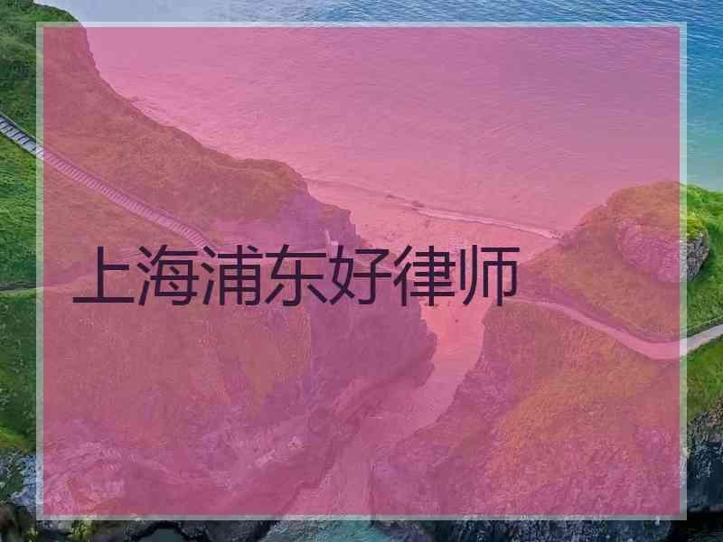 上海浦东好律师