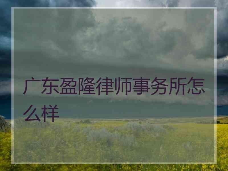 广东盈隆律师事务所怎么样