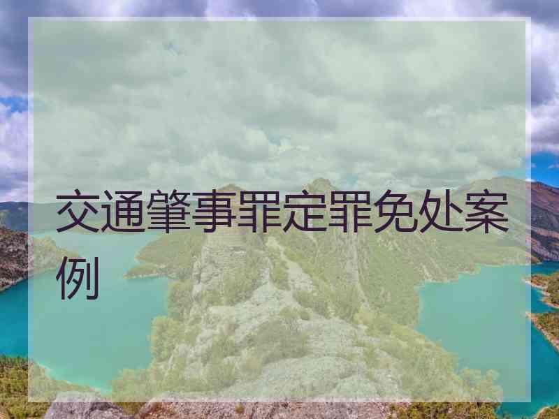 交通肇事罪定罪免处案例