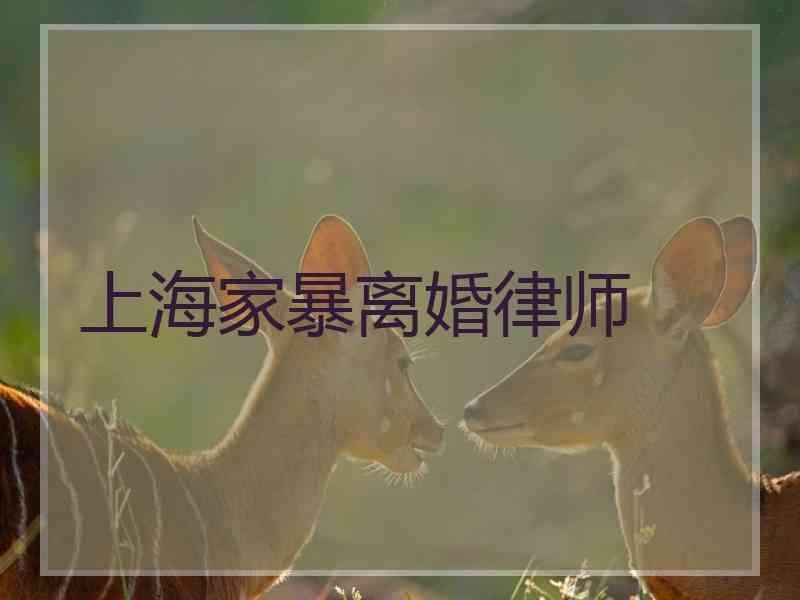 上海家暴离婚律师