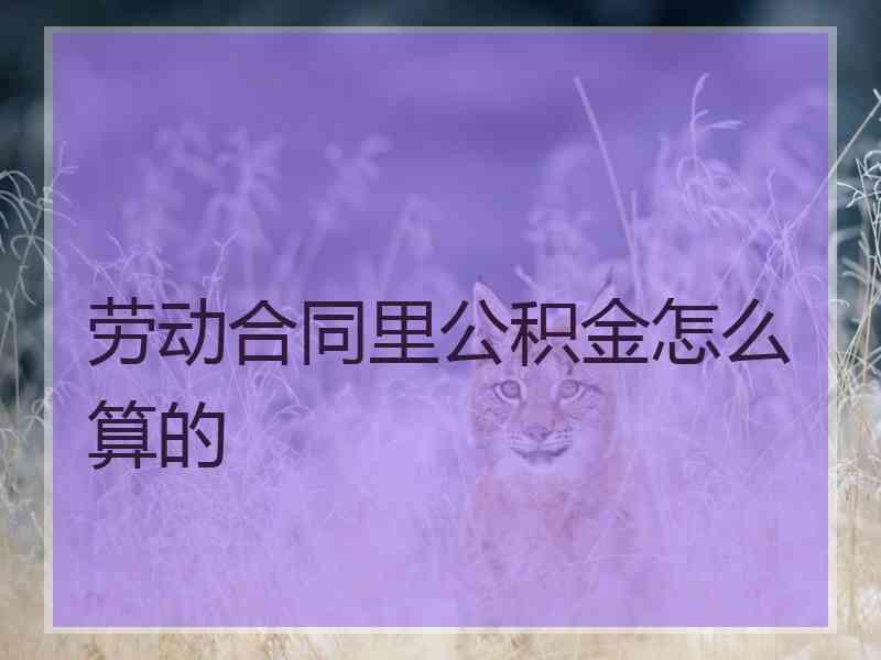 劳动合同里公积金怎么算的