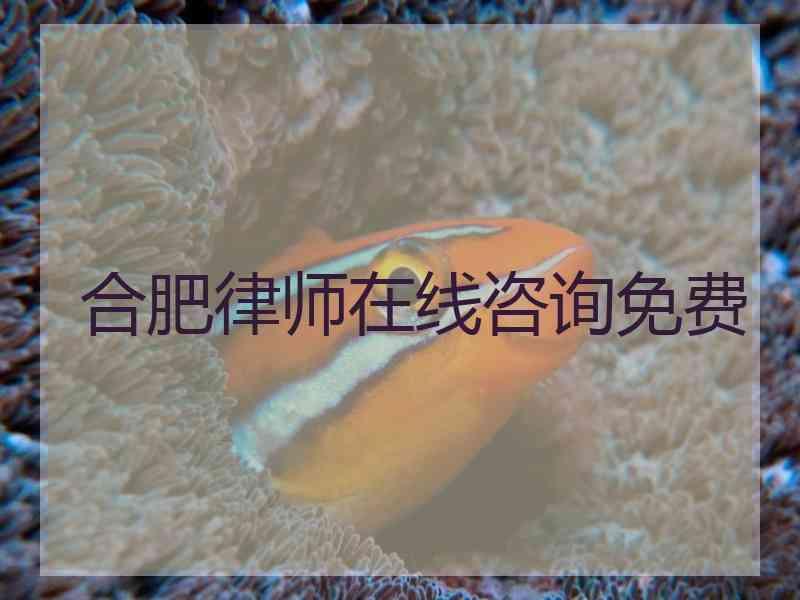 合肥律师在线咨询免费