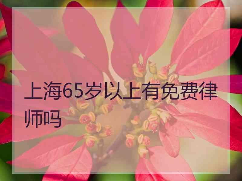 上海65岁以上有免费律师吗