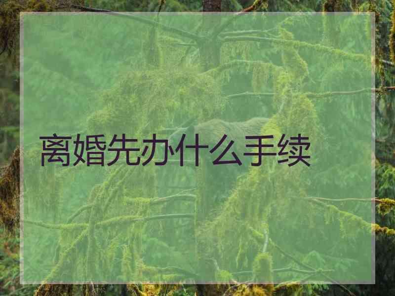 离婚先办什么手续