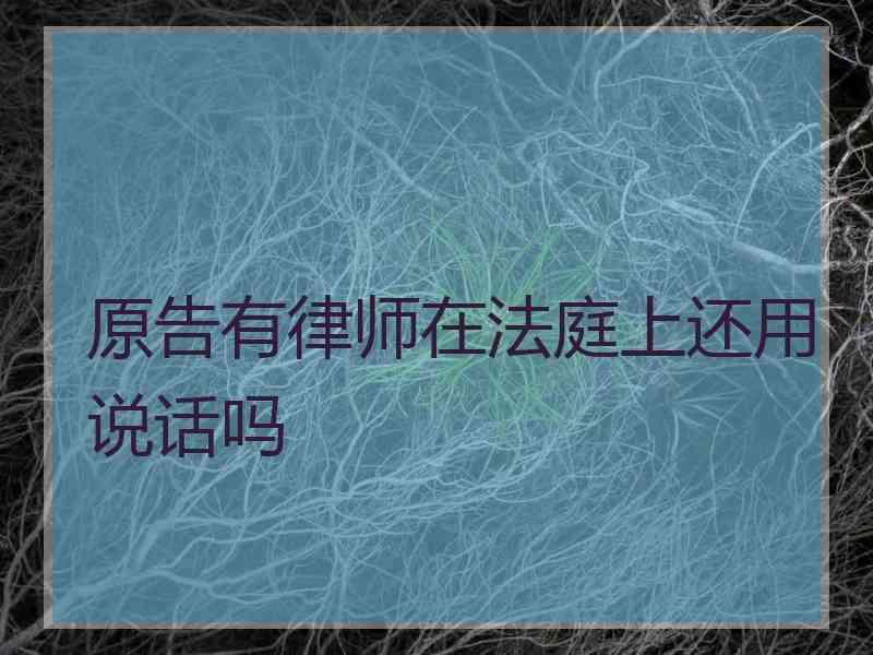 原告有律师在法庭上还用说话吗