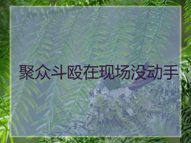 聚众斗殴在现场没动手