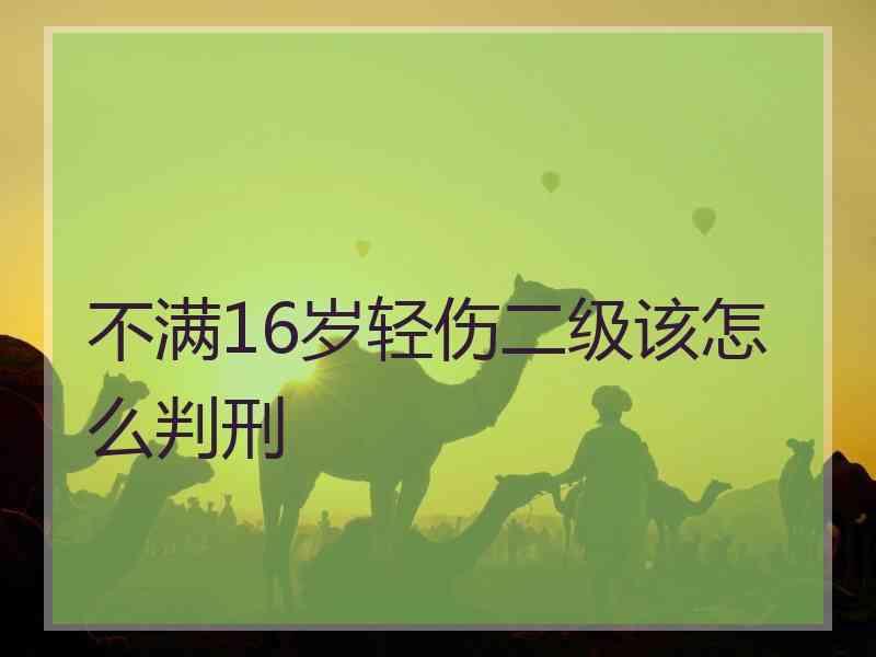 不满16岁轻伤二级该怎么判刑