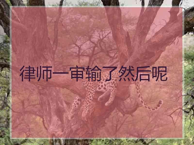 律师一审输了然后呢