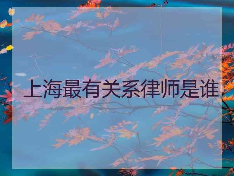 上海最有关系律师是谁