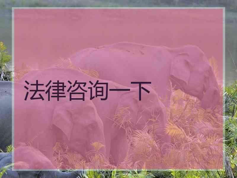 法律咨询一下