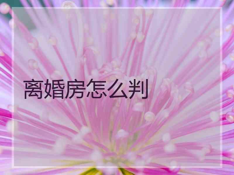 离婚房怎么判