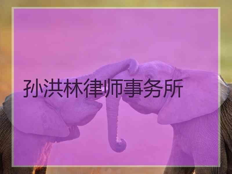 孙洪林律师事务所