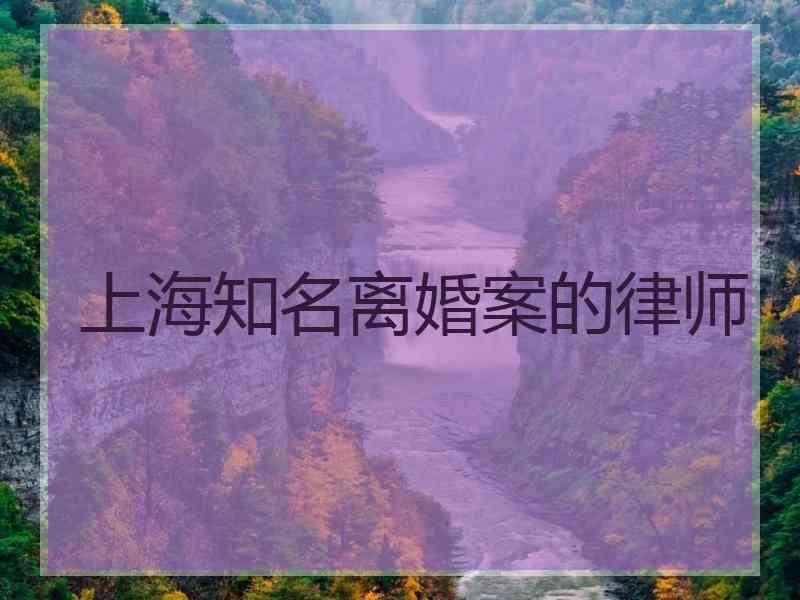 上海知名离婚案的律师